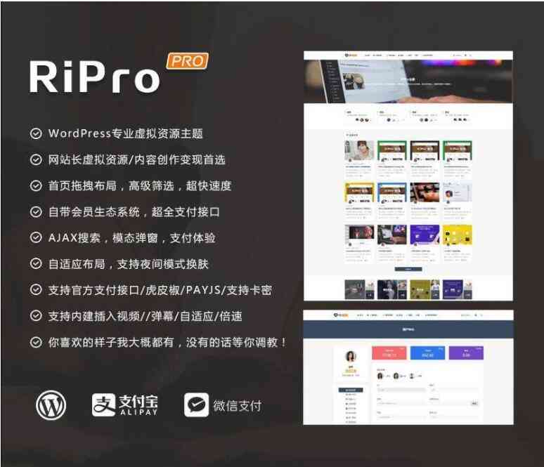 WordPress主题 RiPro 4.6 资源下载带美化包插图1