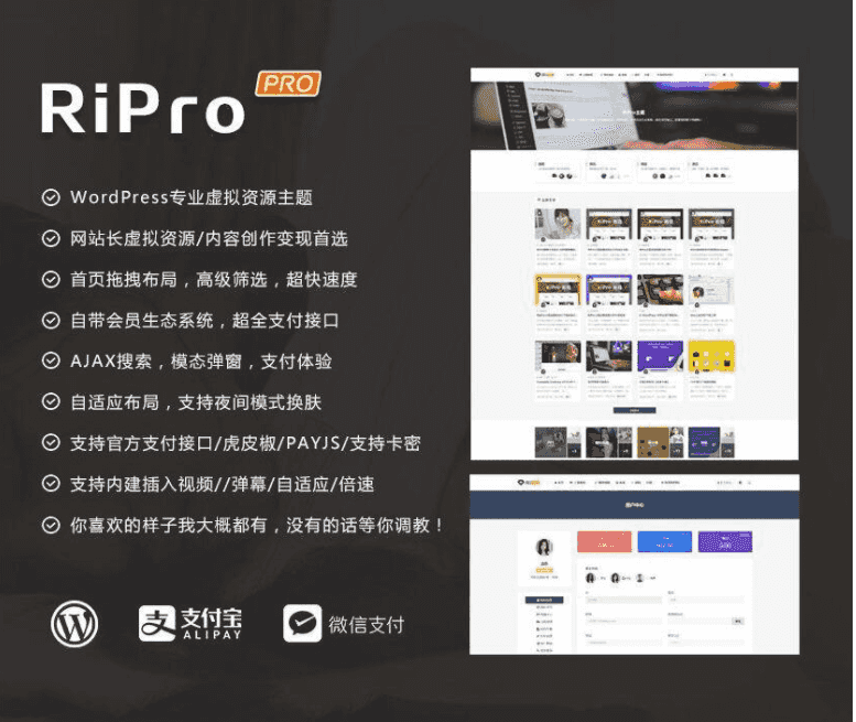 RIPro主题 5.6 WordPress模板日主题虚拟资源素材修复版插图1