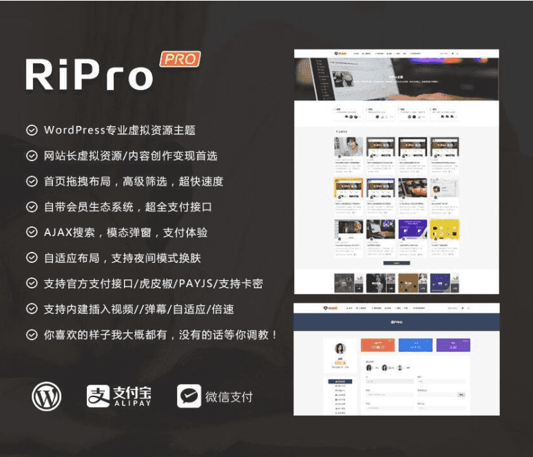 最新RiPro6.2主题破解授权无限制版本 修复暗链版！插图1